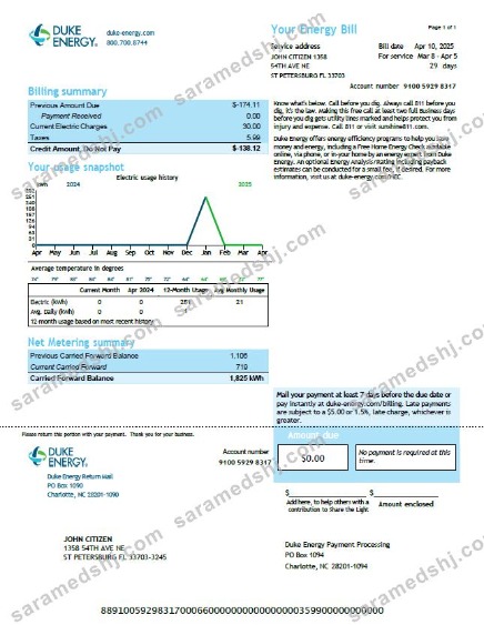 USA Duke Energy utility bill template in Word and PDF formats, version 4